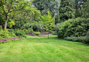 Optimiser l'expérience du jardin à Landres-et-Saint-Georges