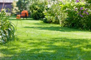 travaux jardin et paysage Landres-et-Saint-Georges